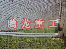大棚花卉供暖設備、大棚卉采暖設備、大棚花卉取暖設備