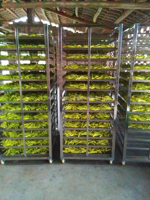 黃花菜烘干機(jī)、黃花菜烘干設(shè)備、黃花菜干燥機(jī)、黃花菜干燥設(shè)備、